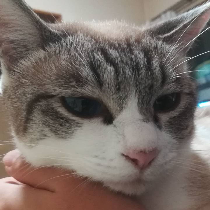 Fd5b3cc8 ee75 4cc4 94f8 e34cd7739572 1530865487530