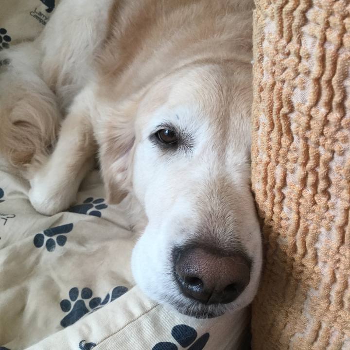 Fd5b84d8 9988 4a73 b384 5bf65db00620 1574462404631