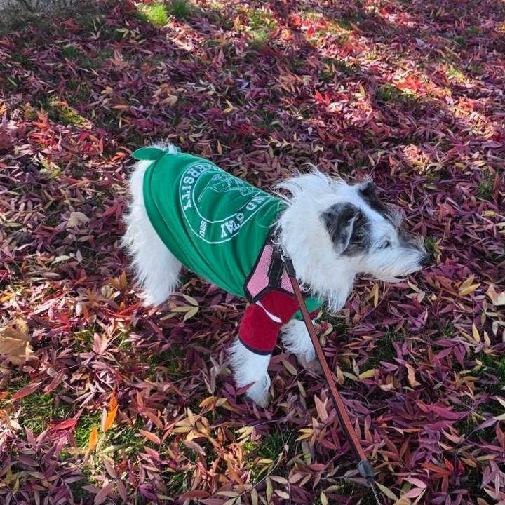 Fd5b878f e71e 4c85 896d 7470931ef4f7 1764031595847