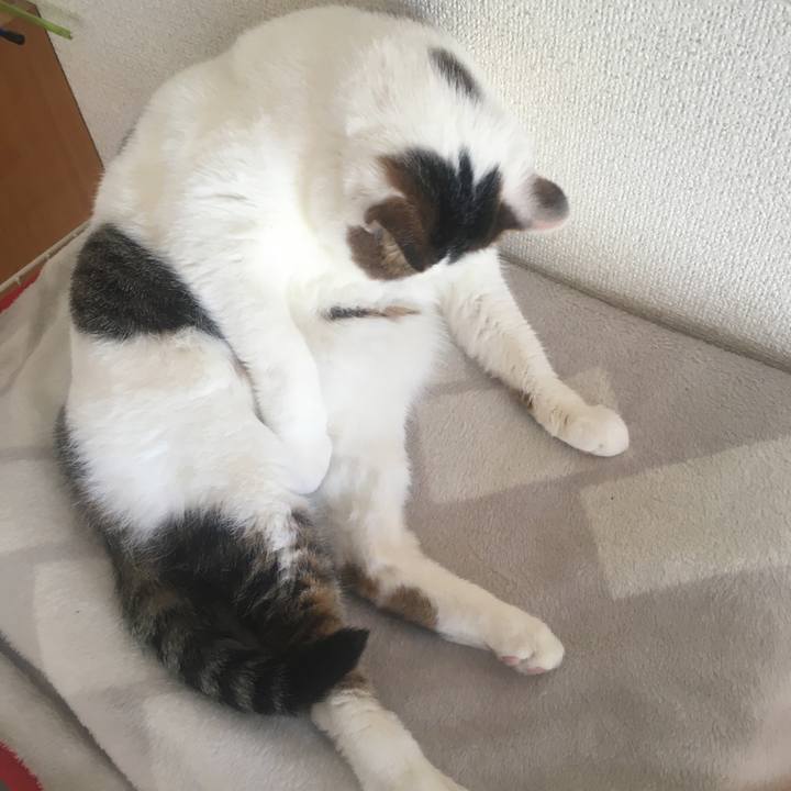 Fd5ba319 4155 480c 9459 92fe97f6a054 1608445504082