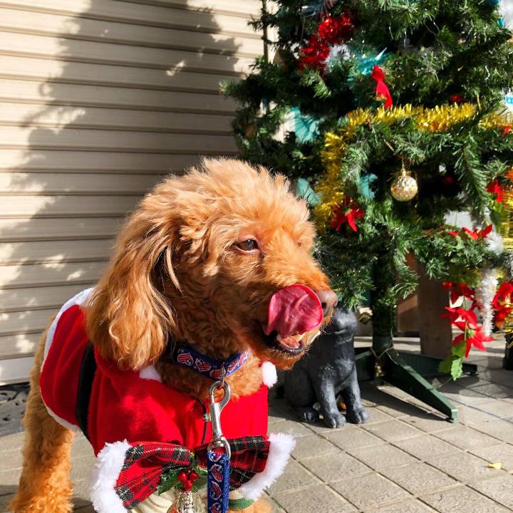 Fd5bbe6b 1e0b 4cac 81ad 9c3f797ca2ba 1640337976790