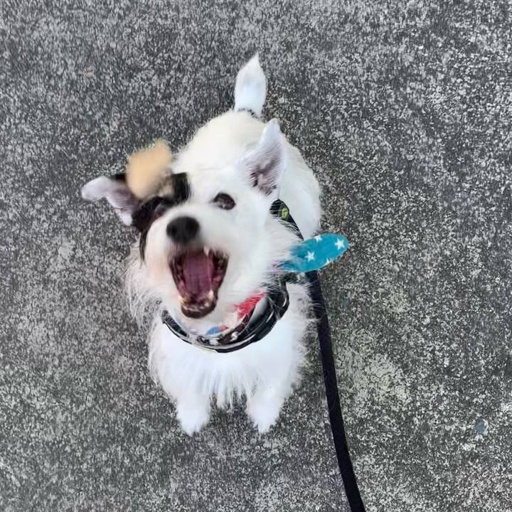 Fd5bde47 59b6 42fc 868a 171f8bd73bc3 1756768190285