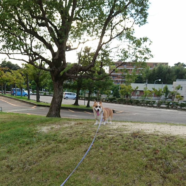 Fd5c06b1 c595 400a 850a 3e308b20e7b2 1599034410165