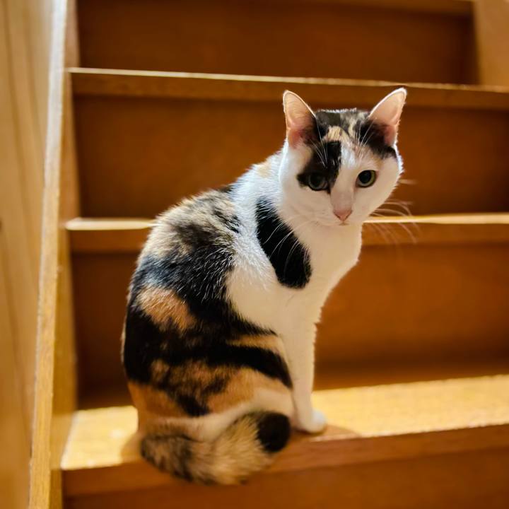 Fd5c320b 8ea5 4df8 84aa a8344a531f49 1640141365623