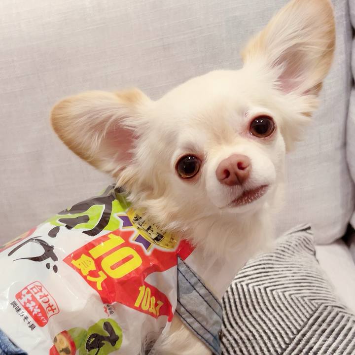 Fd5c9320 7722 4b8c a81f b06a1aae6584 1697468161499