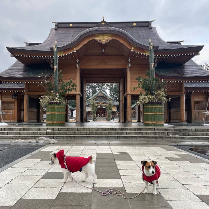 Fd5cc19e e7db 4f68 b904 6b9c7c20aeb8 1641686742973