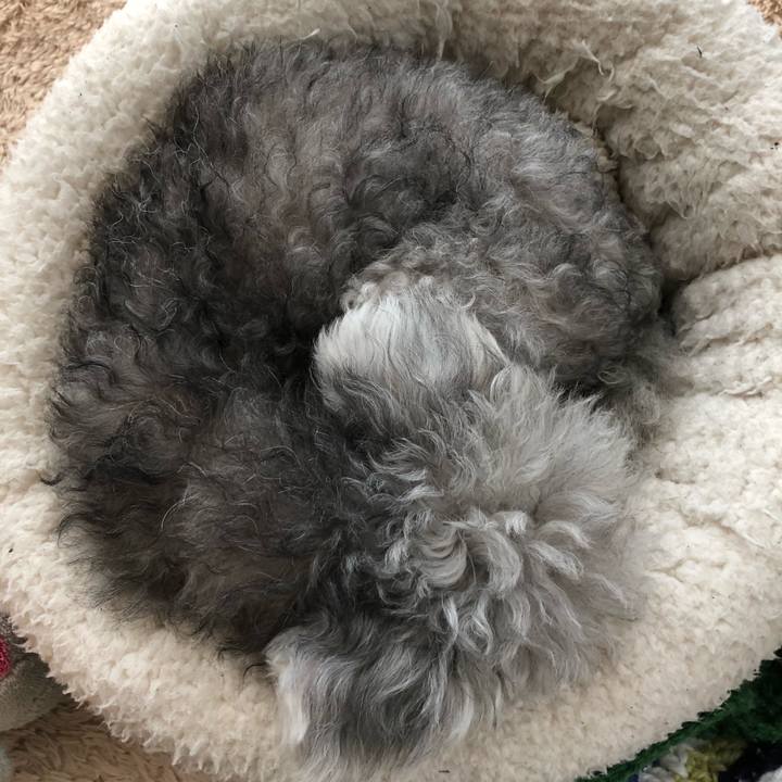 Fd5cc7f3 fd53 46ac b2da 5a5eb39e23df 1609211747245