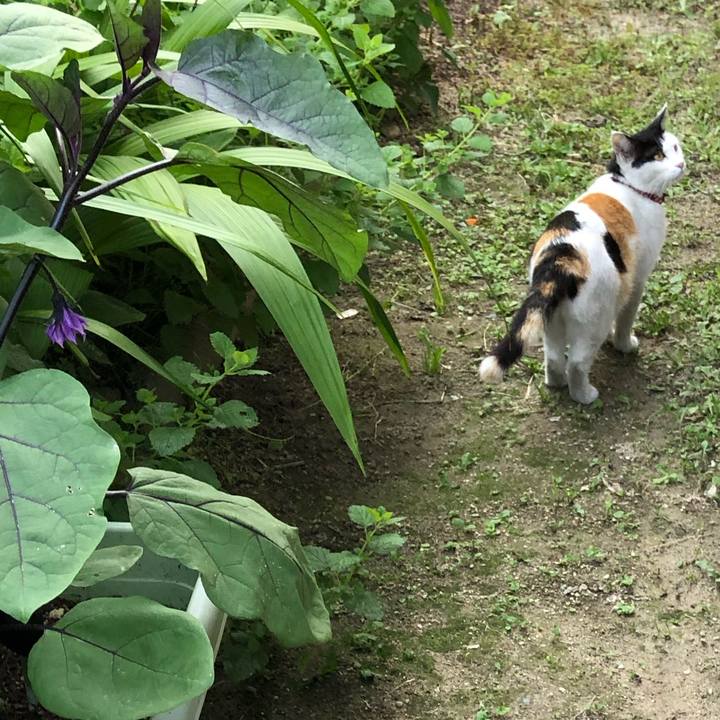 Fd5ccfea 62e8 40e7 8753 45395064e6d5 1623155586289