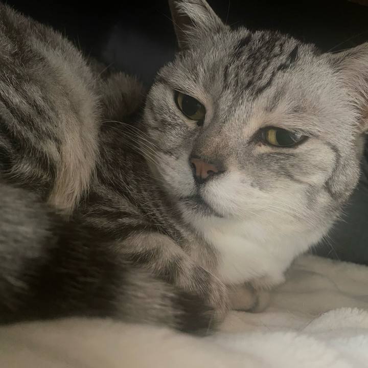 Fd5d03f3 9cdf 44ca bd27 0a466de91492 1745131079414