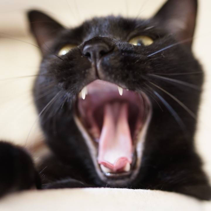 Fd5d4699 e5a1 4bd2 8b44 9822c7c175bd 1565442737822