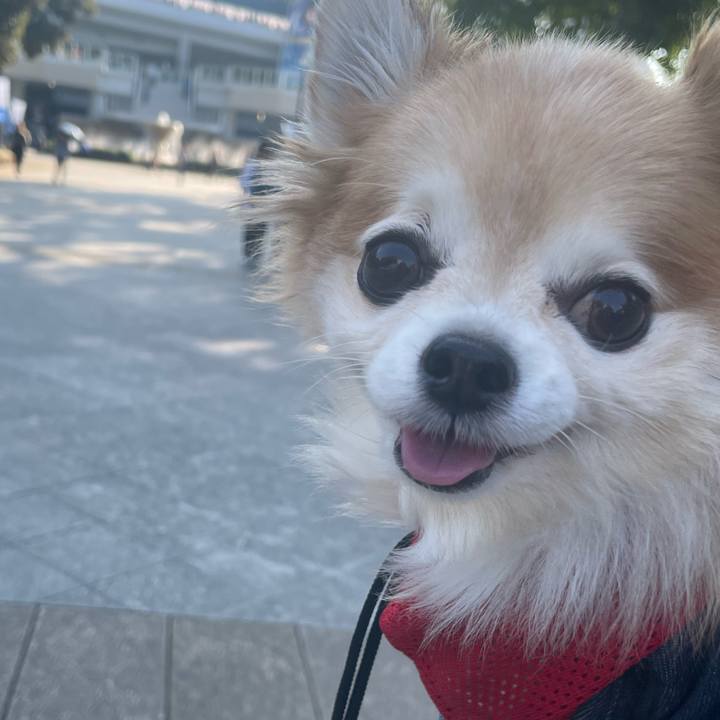 Fd5d7714 8957 4080 a048 c589eb48fe0e 1758970440257