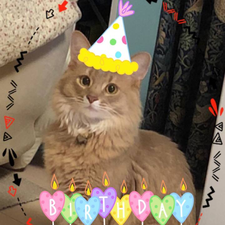 Fd5d7b40 d1de 429f a5ad 95aded3611d3 1595372088776