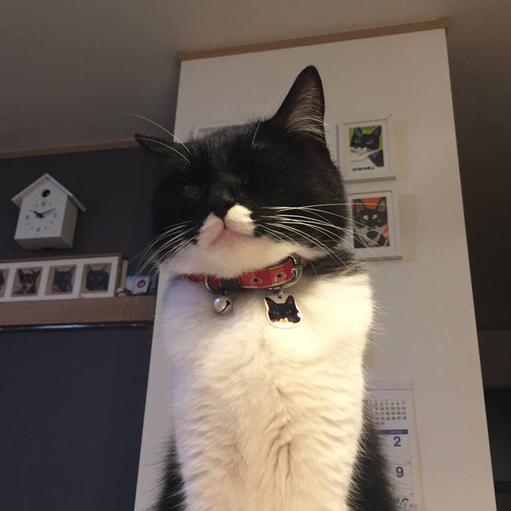 Fd5d9324 200a 4c3a a8de 6c36dd0d2407 1527858781003