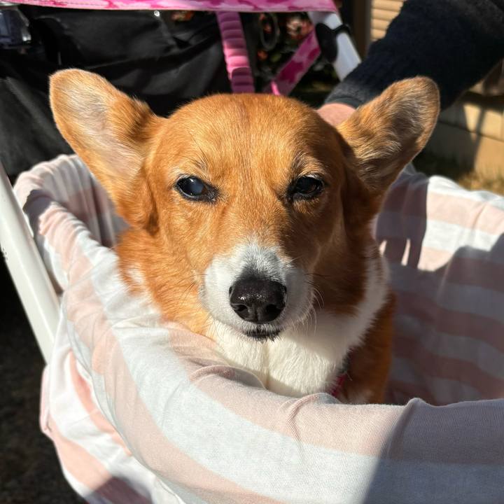 Fd5df914 3f15 486f 84f3 ce77ce556a5f 1732420773379