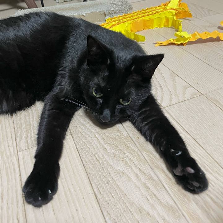 Fd5e0547 e8b1 4828 95dc c1e4a9d88fcd 1708949852223