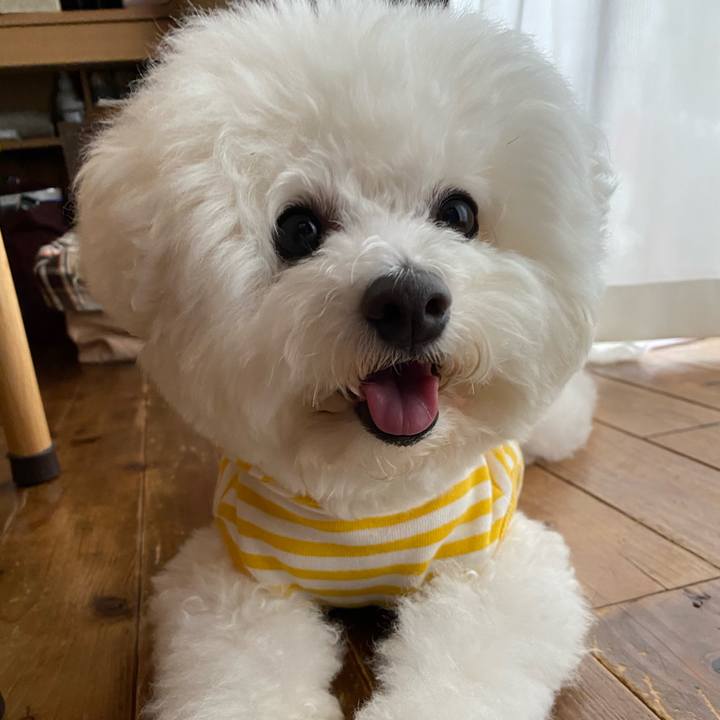 Fd5e0b88 e9f2 4c1b a434 60d299b61784 1624177538485