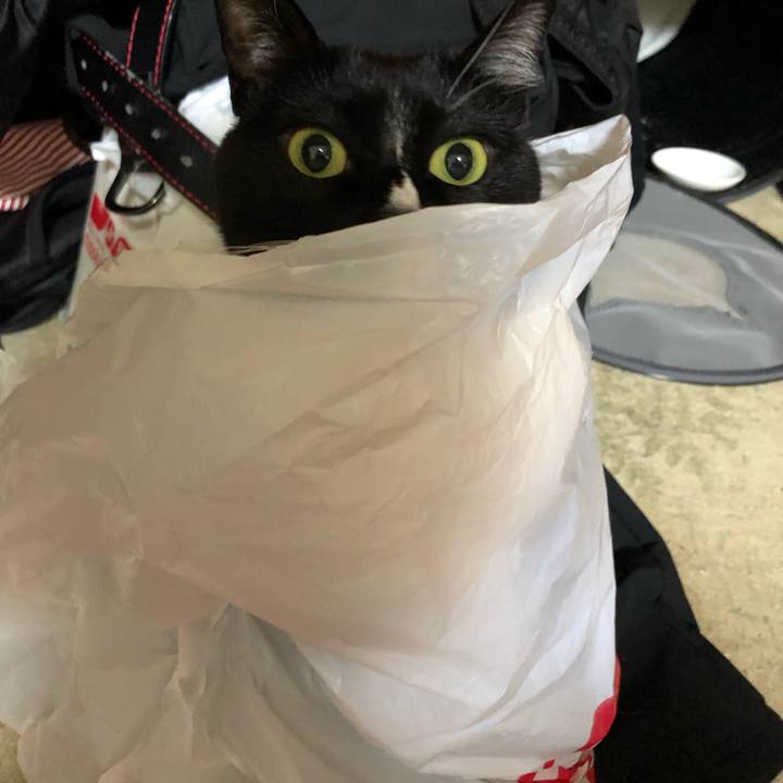 Fd5e71e5 9748 43d1 b813 11ce339b6076 1551049723733