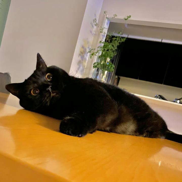 Fd5e7d25 c486 4fb8 919c 005b97f34845 1662120534333