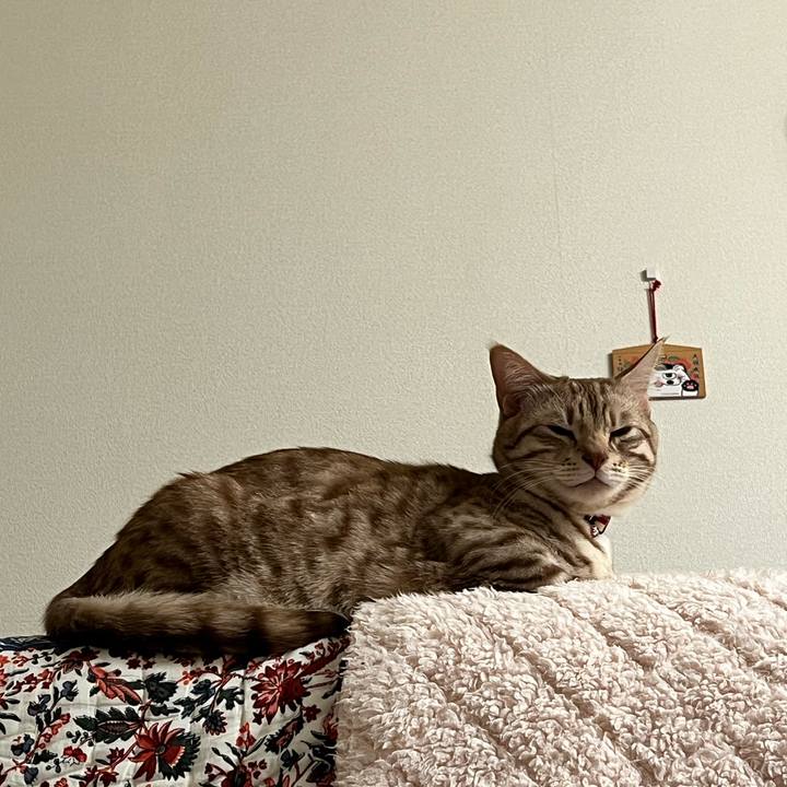 Fd5eb9a3 49a2 4c19 93e8 55e02a5f06a6 1674726316336