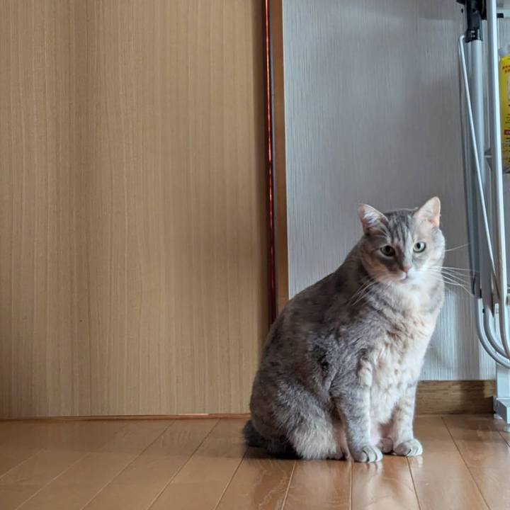 Fd5ebd71 39ea 4f03 af98 1aadc70cef56 1762405726805