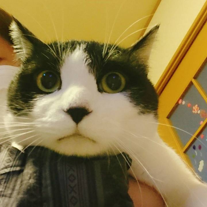 Fd5ec5a0 e0e0 4fd6 8288 60495fd93132 1550787832027