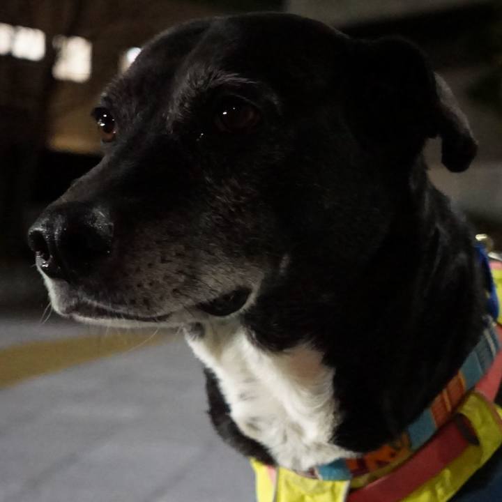 Fd5ed1e9 b642 4aeb 8e86 c3f6c01f0fbe 1771499422716