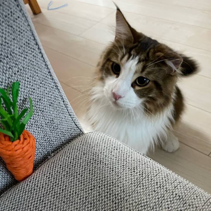 Fd5eebf6 6826 4235 80aa 73bcebd4bc38 1655329072374