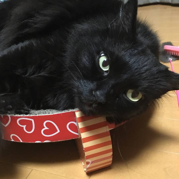 Fd5f0743 19bd 4583 8551 b50962548109 1528732051056