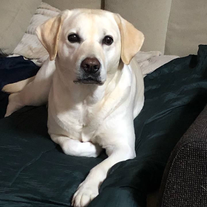 Fd5f4d3f 8219 4b34 8b6e a6dba7076a96 1656494532777