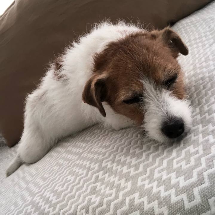 Fd5f86ec f2cb 4dfa 9ab0 0e0247207678 1613129510231