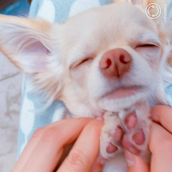 Fd5f9b27 ca7b 40cf b43d 56e7654c0f71 1615444534795