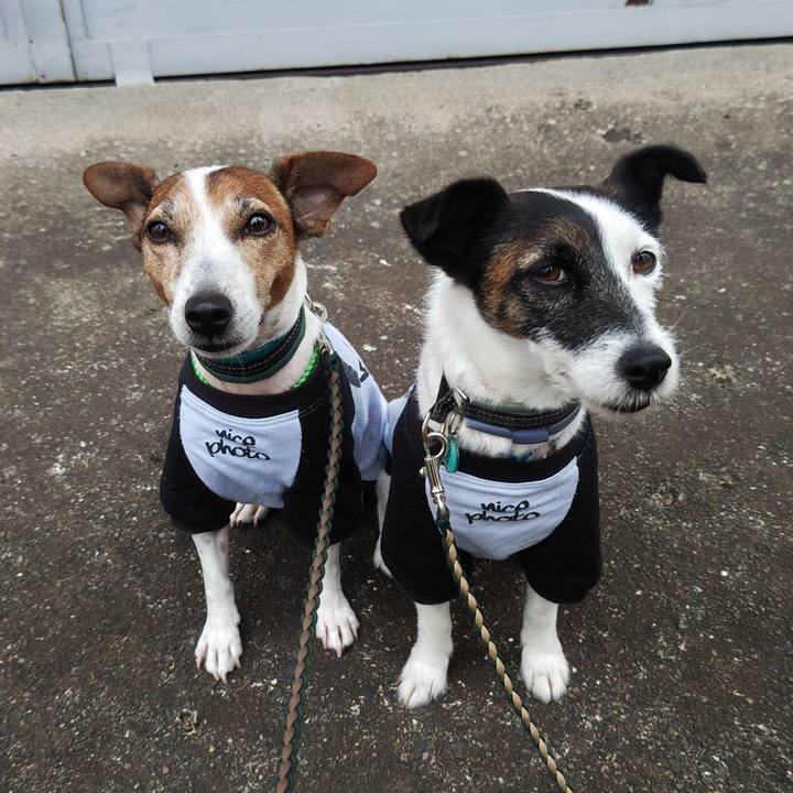 Fd5fb57c 8185 4366 9733 4728aa9fd5ba 1760133978060