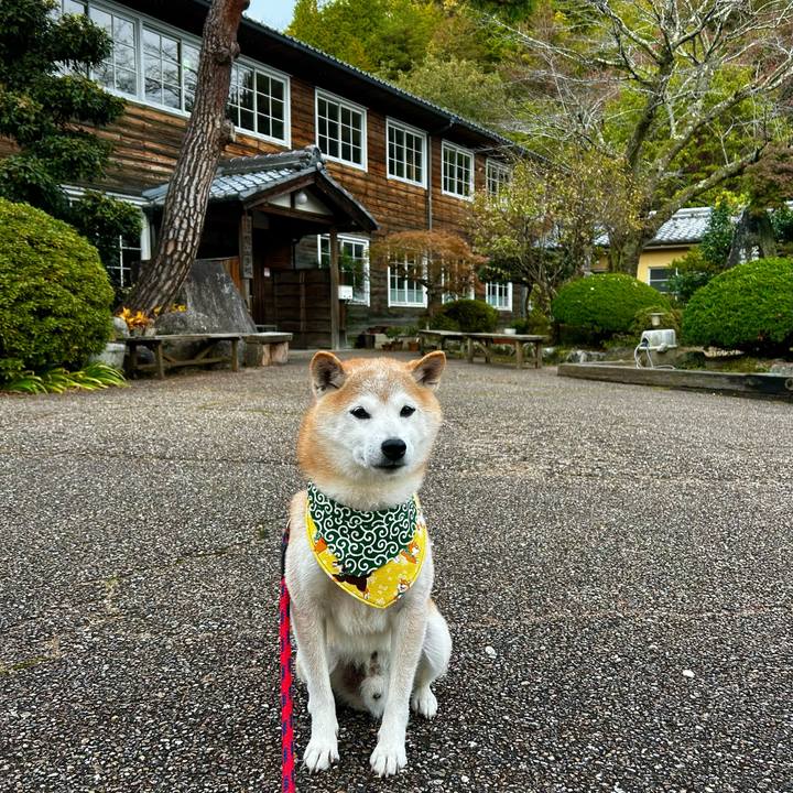 Fd5ff5b5 d120 42f3 9e68 c7f000e0234a 1762340845361