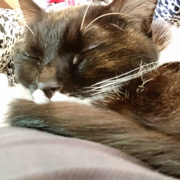 Fd5ffe51 147a 4782 a3ae c09597b253b0 1575168989630