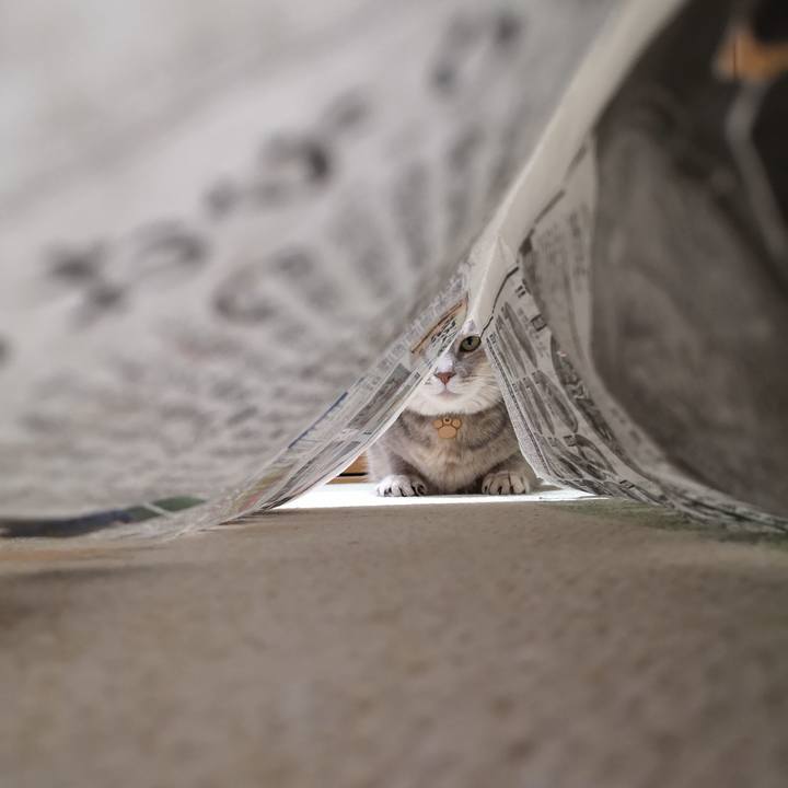 Fd6035b3 ef85 47fb abe3 3eeadff8b690 1596375583505