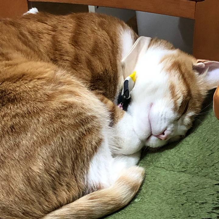 Fd607267 e354 496e b826 a854124f5ae7 1554895263866