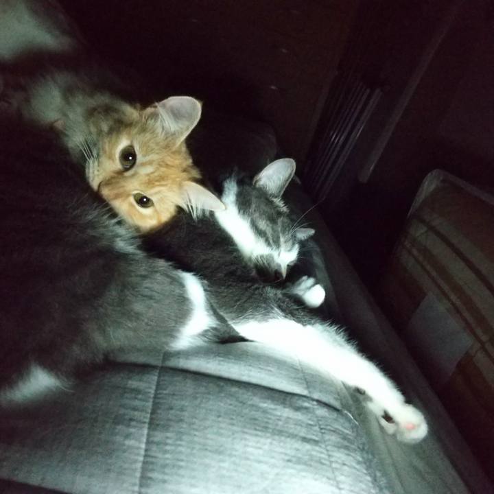 Fd60967b d8fd 46e3 99f0 b18e8790acb6 1628956278554