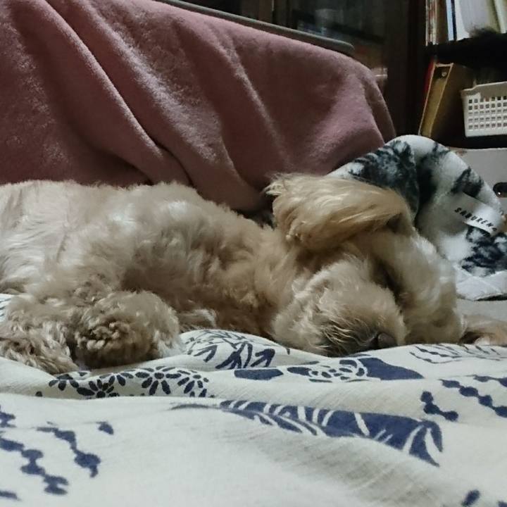 Fd60ce32 81f9 483e 9016 1ae7440a7f26 1586869141191