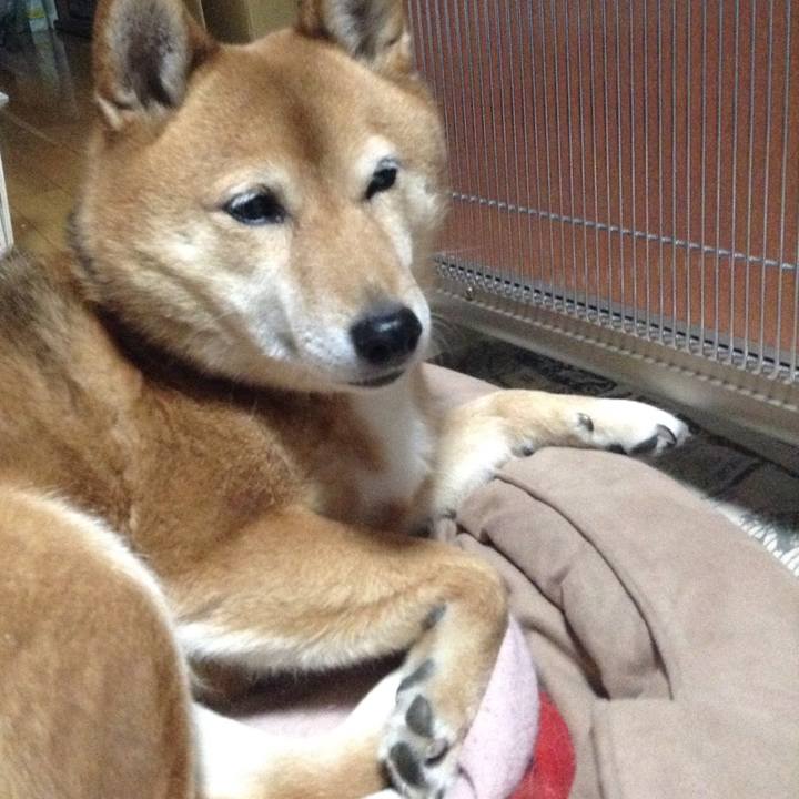 Fd60ea0f 71e2 4209 8d7d db0827ba471b 1515583875512