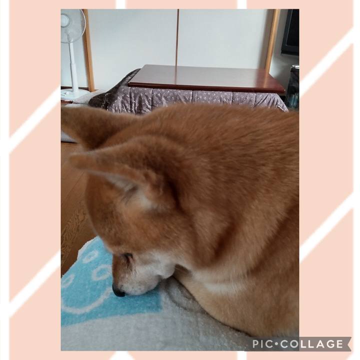 Fd611784 d0ac 4674 b4ad 5cc9e2f1cb93 1730874809738