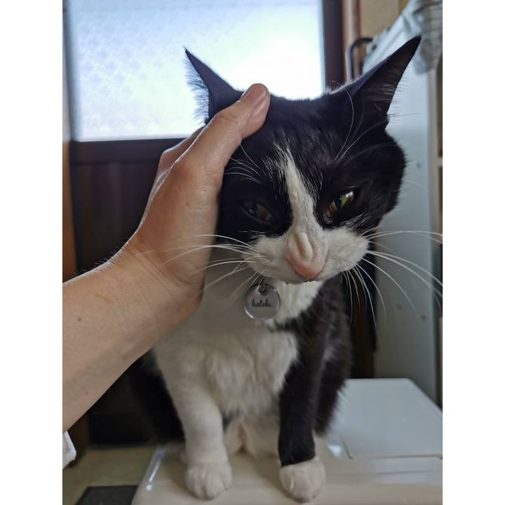 Fd611ab6 12bc 41ea b8b6 648ca7509a28 1650427632970