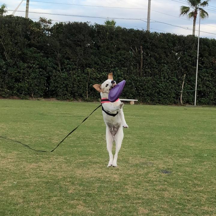 Fd613c41 c490 4338 90f2 defe68f01d43 1537177457493