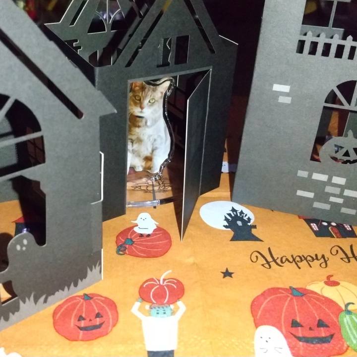 Fd614907 b6c0 4f19 aeab d9c6d15db4fb 1730375527397