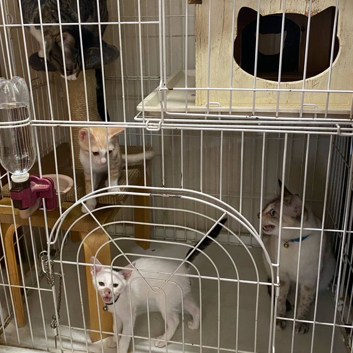 Fd616640 8e1c 4bbe a018 f23004b608cd 1689830264011