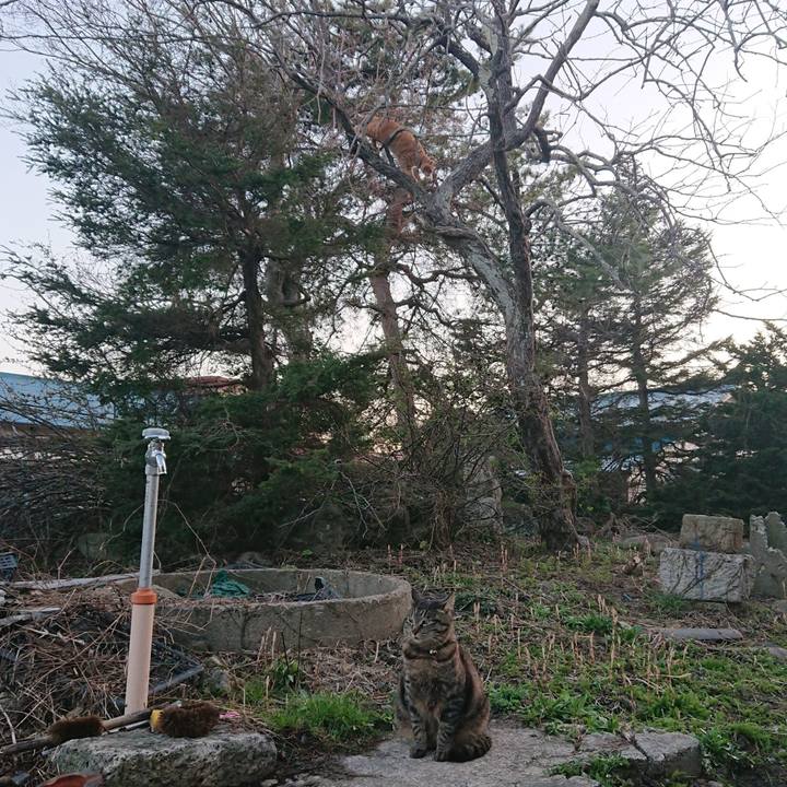 Fd61767d 8064 47f1 9b7a f1e3e1d33cbc 1650187519479