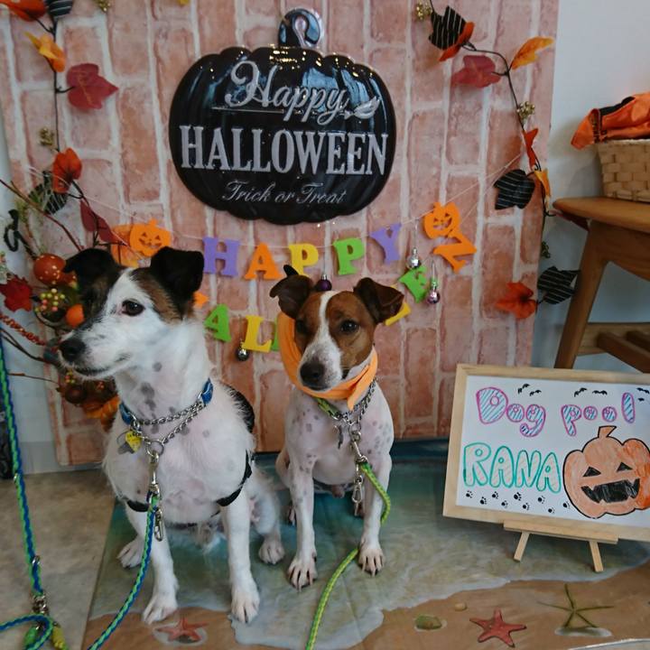 Fd61c1e4 70dc 418c ad67 682245f23183 1571301889004