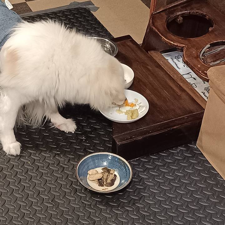 Fd61c202 746c 4839 94fe cc20277c50f6 1757190159393