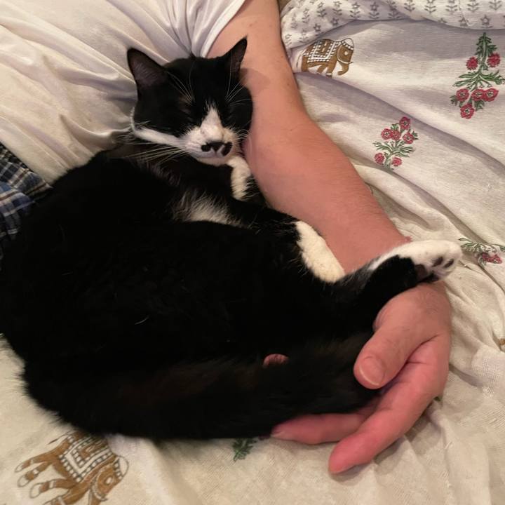 Fd61e8ed 8745 477c a938 43d963e22fd9 1757861709449