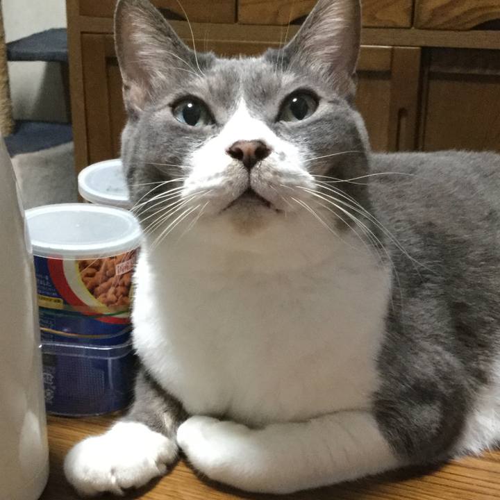 Fd61f002 7ec7 44dd a614 9f1113ee6930 1603025845720