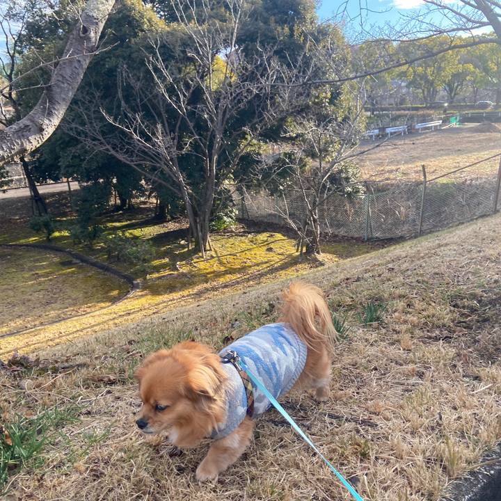 Fd621bd5 fe41 430b b20a caeaaf1274a2 1672707010640